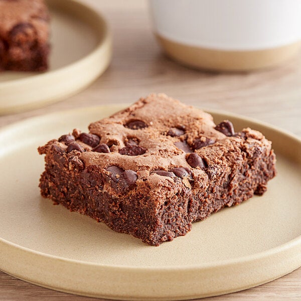 Chocolate Chip Fudge Brownie